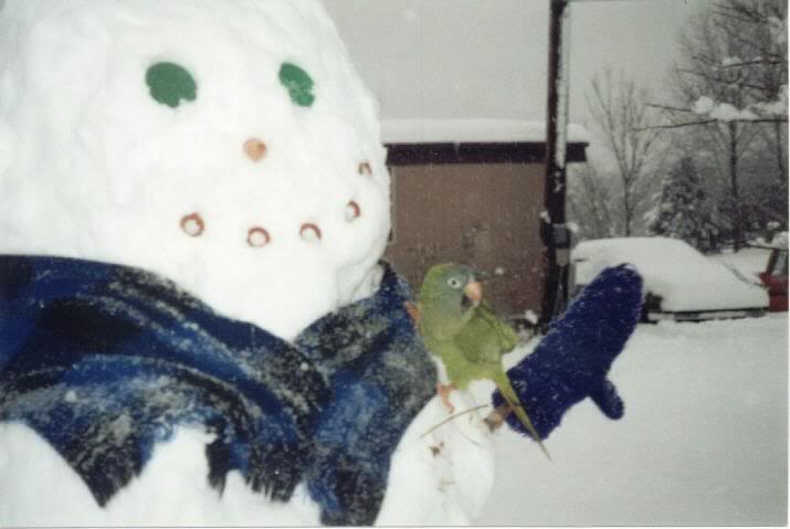 Snowman and snowbird