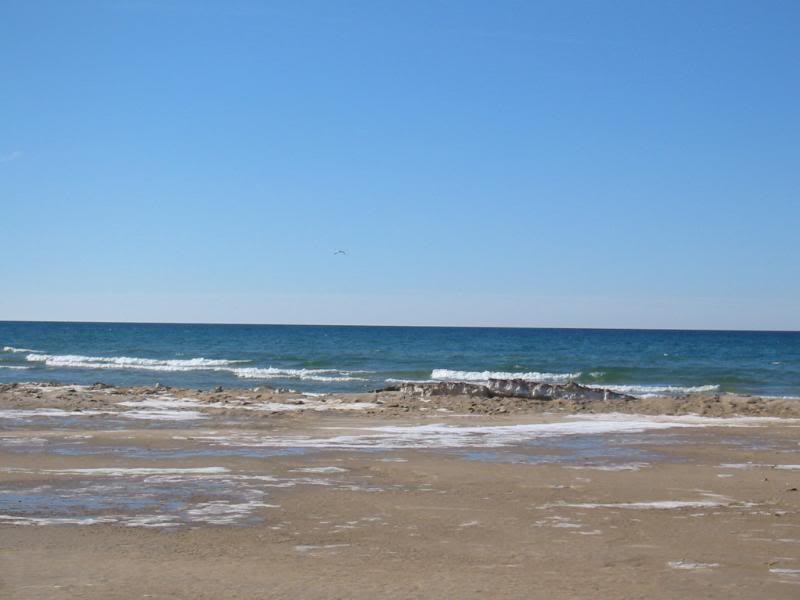 Ludington State park