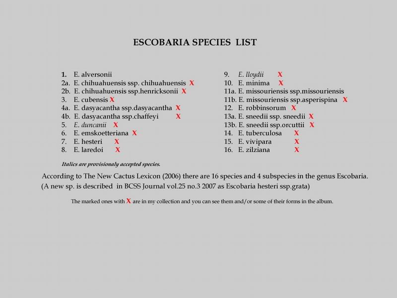 Escobaria Species List