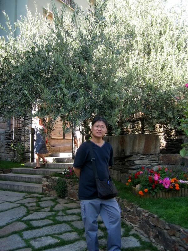 Andorra-Michael under the olive tree