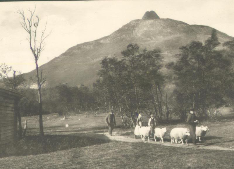 Junkerdal med Solv�gtind i bakgrunnen p� 30-tallet