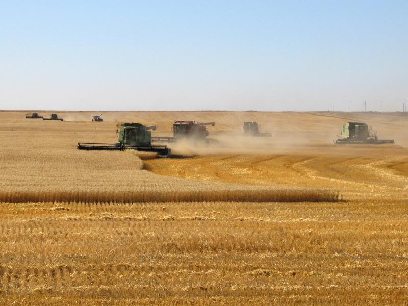 Cloverleaf and Vertant Valley Colonies (Cloverleaf Harv...