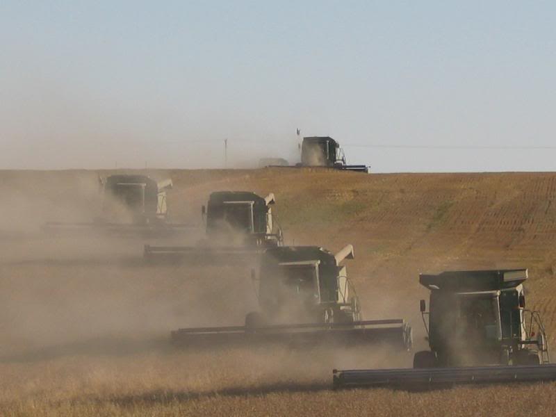 Dusty Harvest