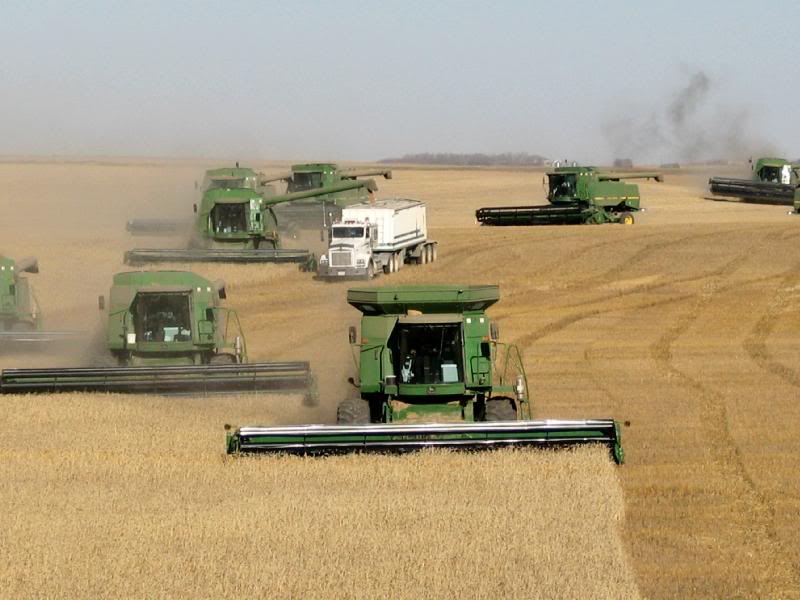 Harvest 2004 in Alberta