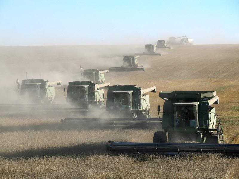 Harvest time in Alberta