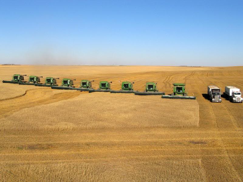 Harvesting on the Alberta Prairies