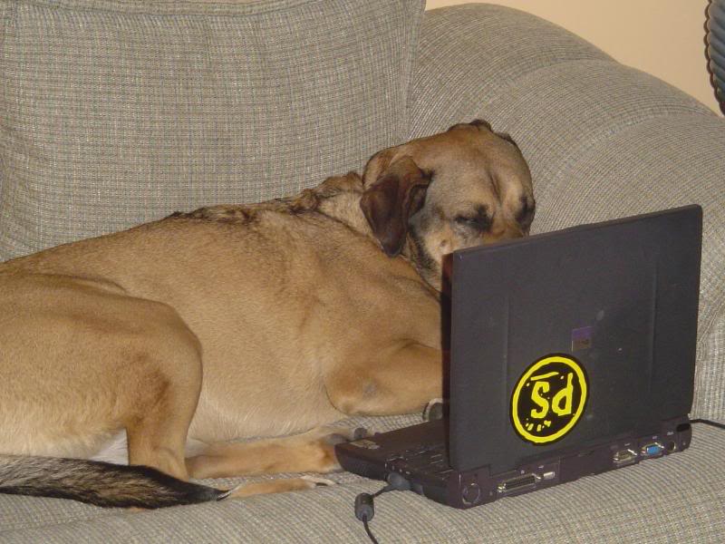 He's emailing pops since he's out of town this month