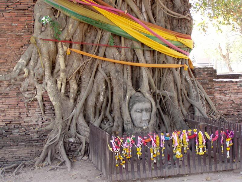 Wat Mahathat, Ayutthaya