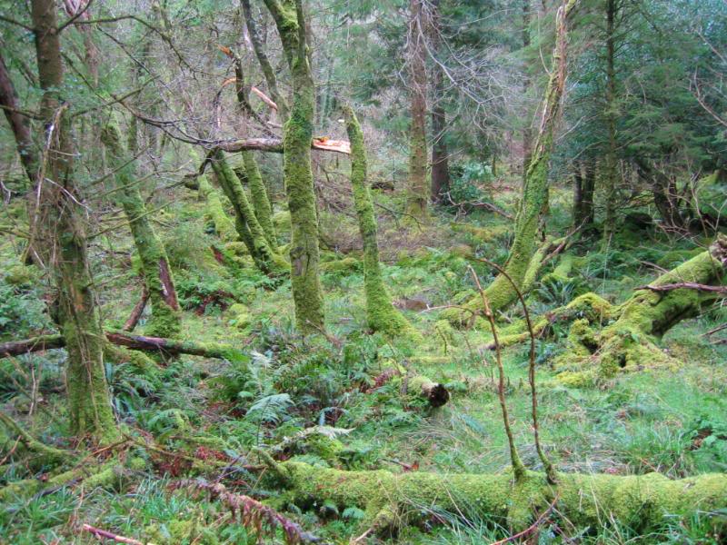 I just couldn't get over it