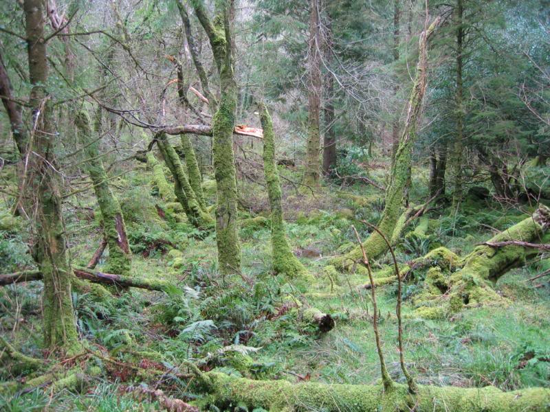 It really doesn't get much greener than this