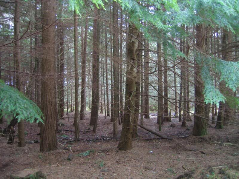 There you go, Melissa