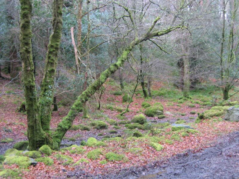 You would think you would get sick of the green....but ...