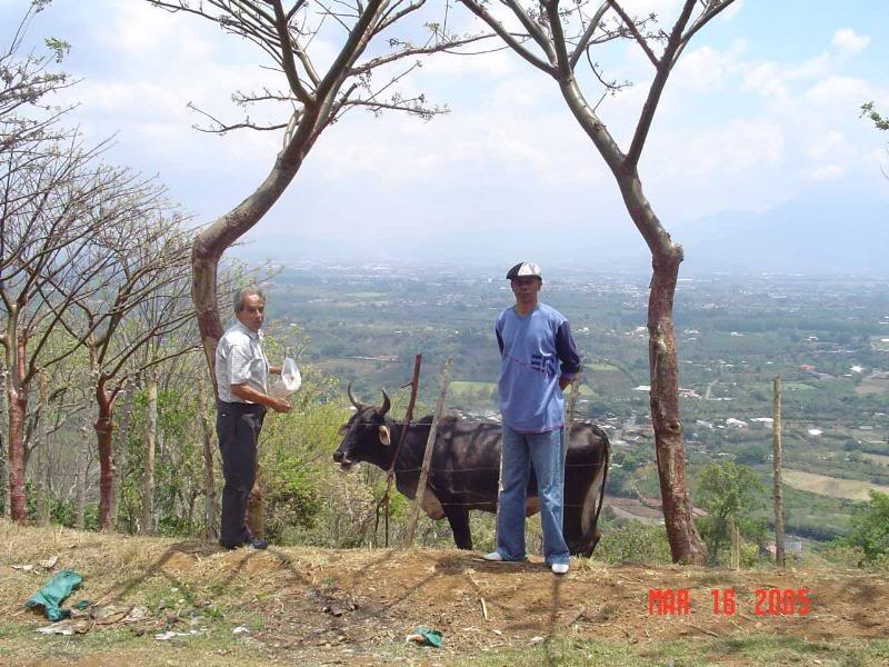 Miguel Guzman - Jose Briscos - Grecia