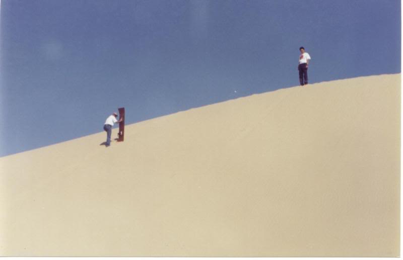 Ayman, Tamer, and the Board