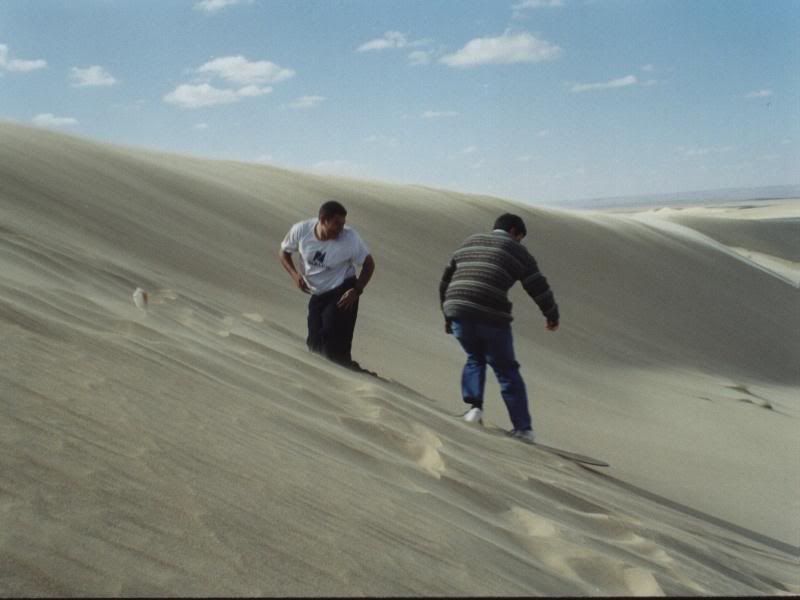 Wind, sand, and a board