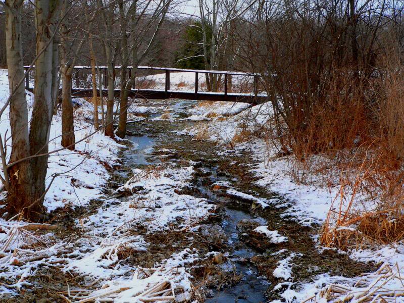 Bridge Over Icy Waters