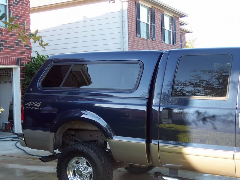 Newsed Shell Close Up