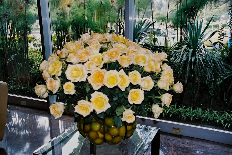 1h Ever Present Fresh Roses in Hilton Colon Hotel - Qu...