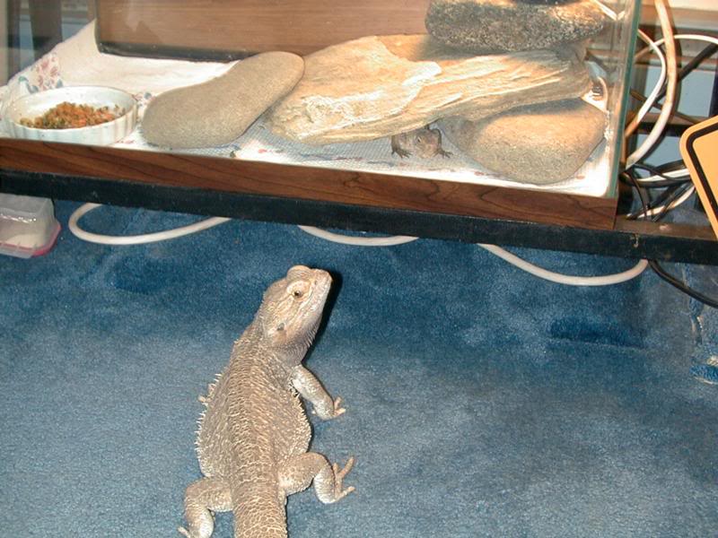 Eddie, looking at Tashmoo