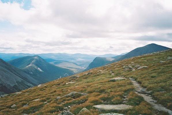 On the Track to the Top