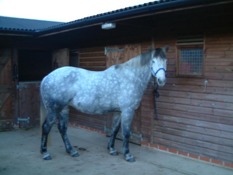 Ebony 6months pregnant - jan 06