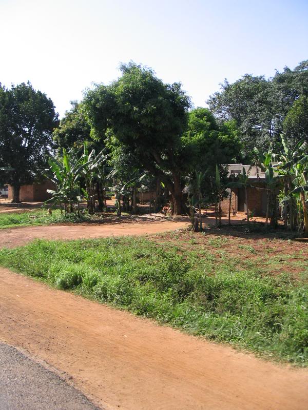 Uganda countryside