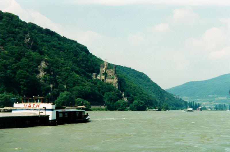 Castles and Boats on Rhine River