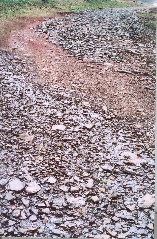 Erosion on Mambo Alley ski slope at Blue Knob, April 20...
