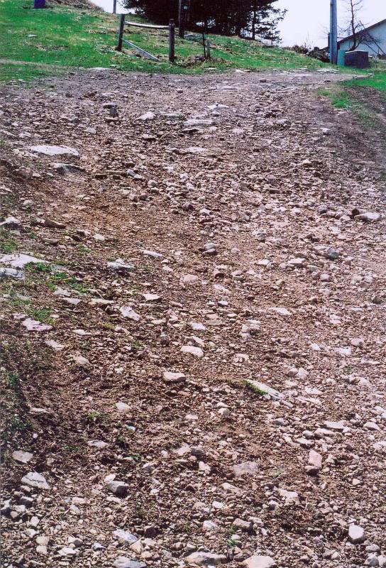 The top of Upper High Hopes ski slope, April 21, 2005