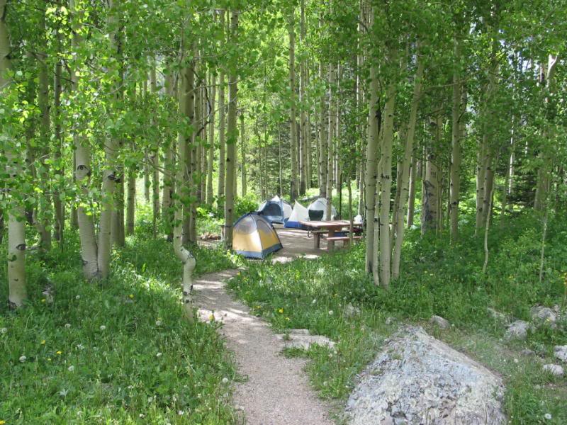 Sunshine Campground basecamp