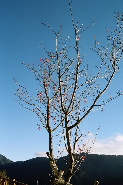 002.�n�s�f����� ���