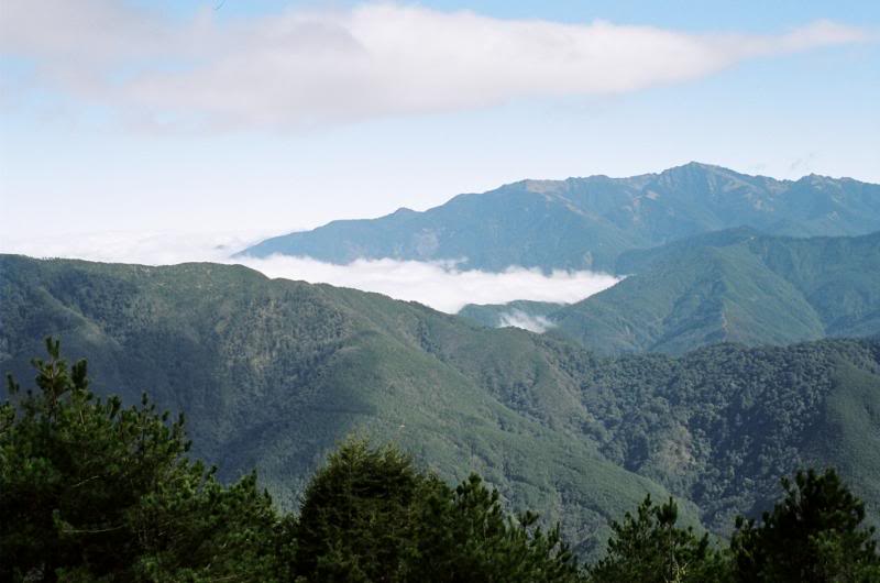 007.�}�l���r��� W��