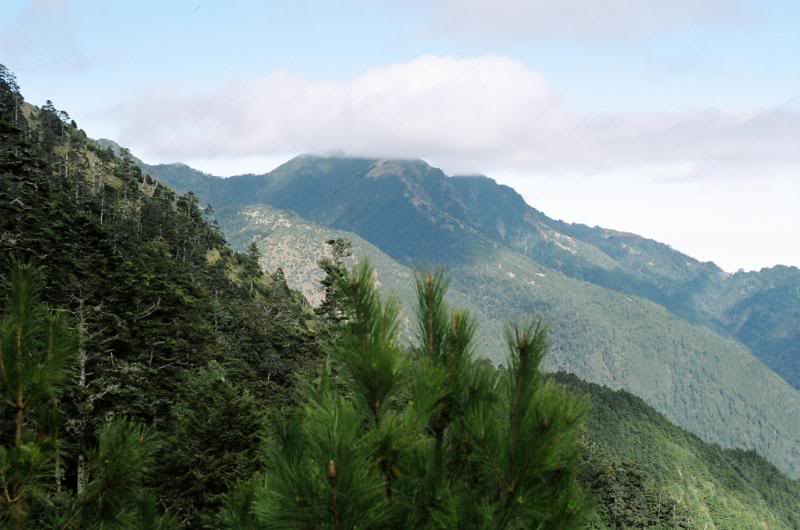 008.�������s