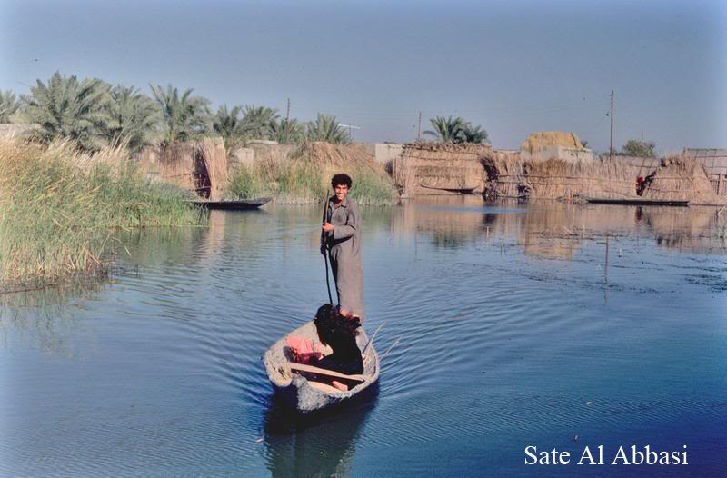 On the Edge of the Marshes