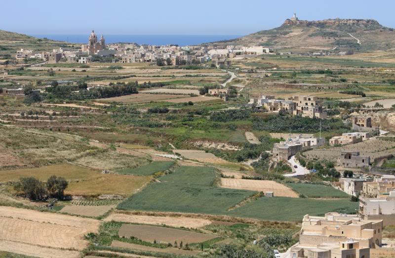 gozo4