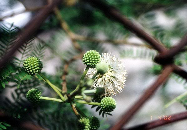 ���J�i�R����...