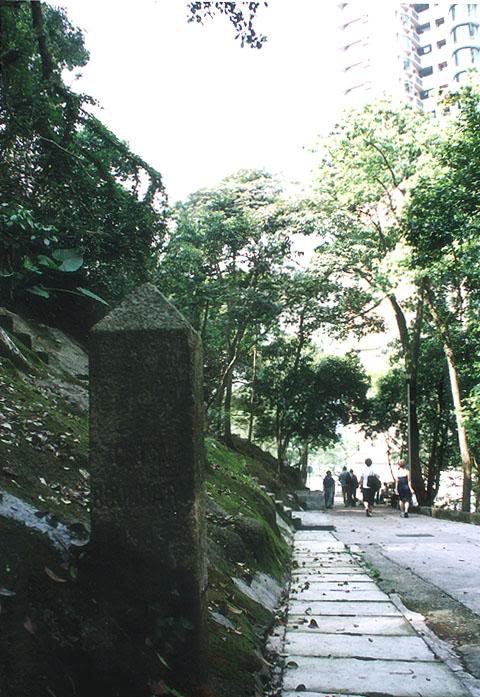 ���s���D(Old Peak Road)�W�����O