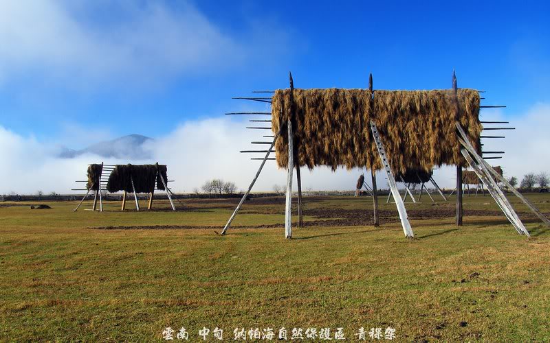 20026 Napahai Nature Reserve, Zhongdian