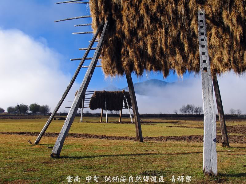 20030 Napahai Nature Reserve, Zhongdian