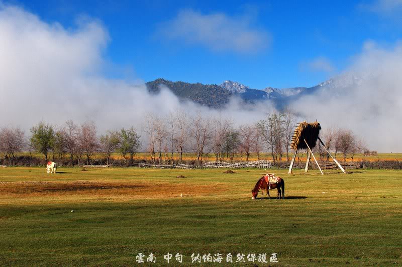 20038 Napahai Nature Reserve, Zhongdian