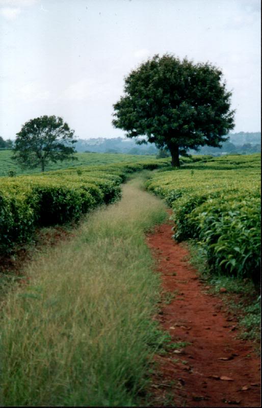 One of those cut roads, part of the road map