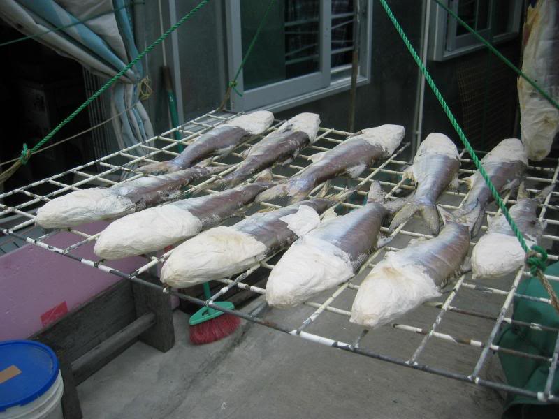 �j�D����