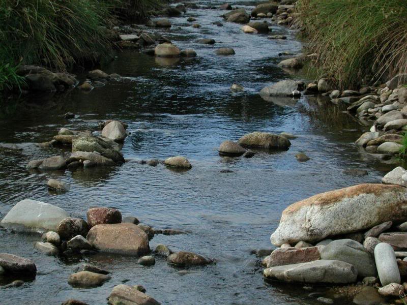 Scottish Water - an essential ingrediant for Malt Whisk...