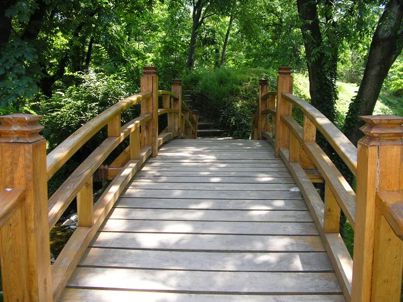 Japanski vrt Jevremovac Beograd