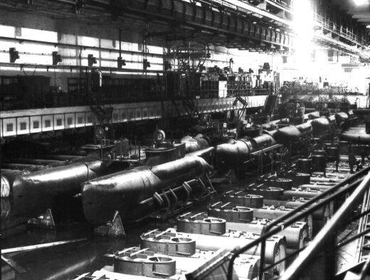 Seehunds on the production line after capture 1945.