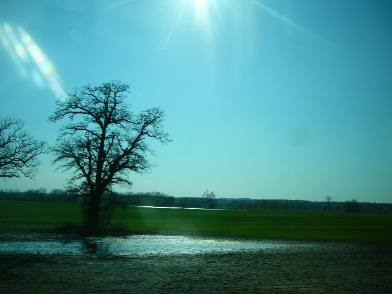 �u�~�X���J����