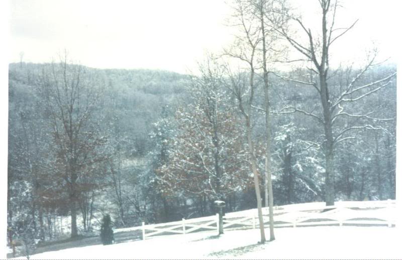 beautiful winter scenery in our front yard on cabin run