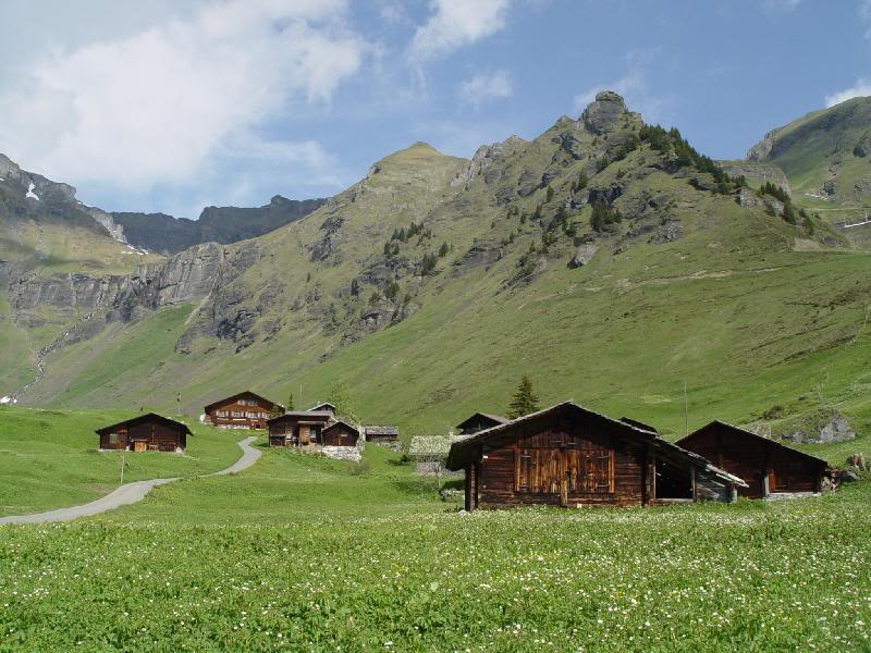 Blumental at 1800 meter, with our hotel Pension Sonnenb...