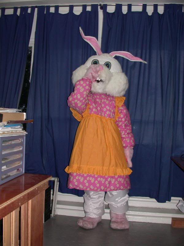 ladyrabbitwithw hitefaceywn