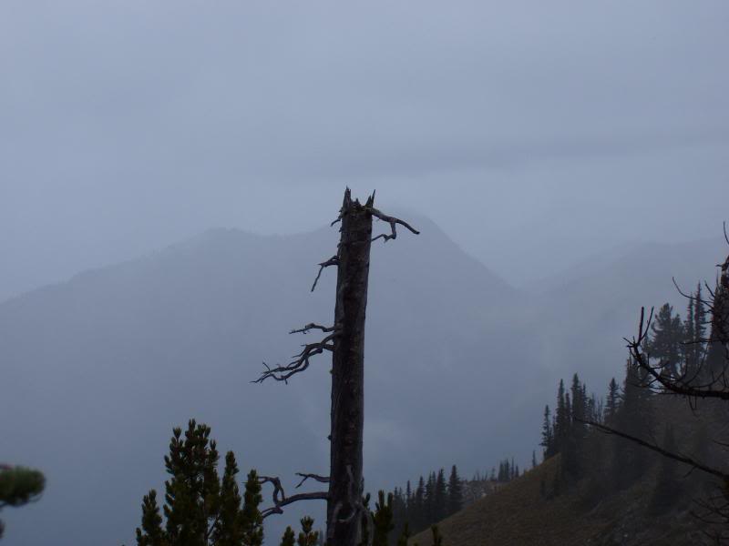 Looking over mountains in the Glacier Peak Wilderness